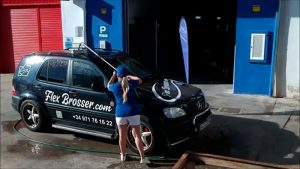 Sistema de limpieza para 4x4 y otros vehículos grandes Flex Brosser